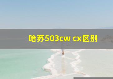 哈苏503cw cx区别